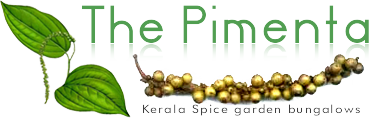 Pimenta Homestay Kerala Cooking Classes & Holidays in Homestay